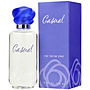 CASUALvonPaul Sebastian #116972
