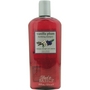 BACK TO BASICS Haircare by Graham Webb #145975