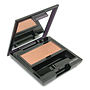 SHISEIDO Makeup by Shiseido #189760