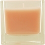 L'Occitane Skincare by L'Occitane #192060