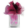 VERA WANG LOVESTRUCK Perfume by Vera Wang #224880