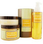 SENSORY FUSION MANGO GINGER Aromatherapy tarafından Aromafloria