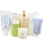 Sisley Perfume by Sisley